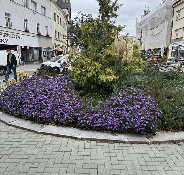 Prostějov obnovuje zničené záhony, stromy zasadí i městští strážníci