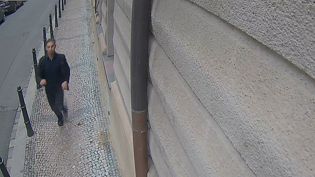 Schválně vyvolal potyčku, aby ukradl hodinky za milion. Policie žádá o pomoc