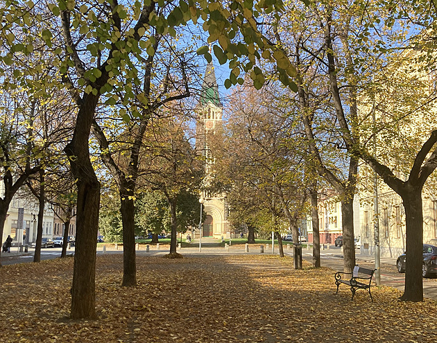 Centrum Brna zkrášlí stovky nových stromů, růstu pomůže speciální podzemní systém
