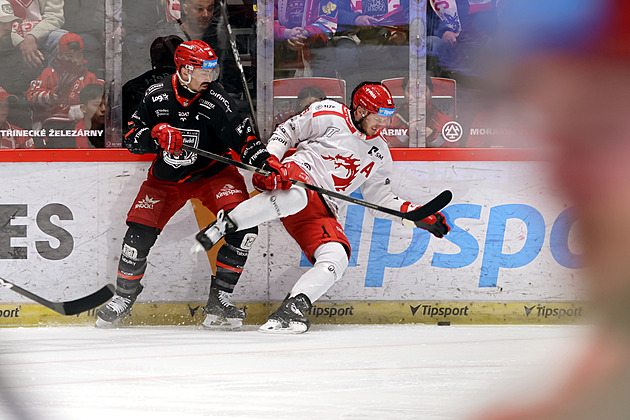 Kohout za postrčení rozhodčího přijde o klíčová utkání, spoléhá na sedmý zápas