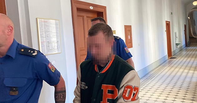 V aleji útočil na ženy, jednu znásilnil, druhou zbil. Mladík dostal devět let