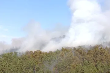 Požár lesa na Klatovsku je pod kontrolou, dohašuje ho vrtulník