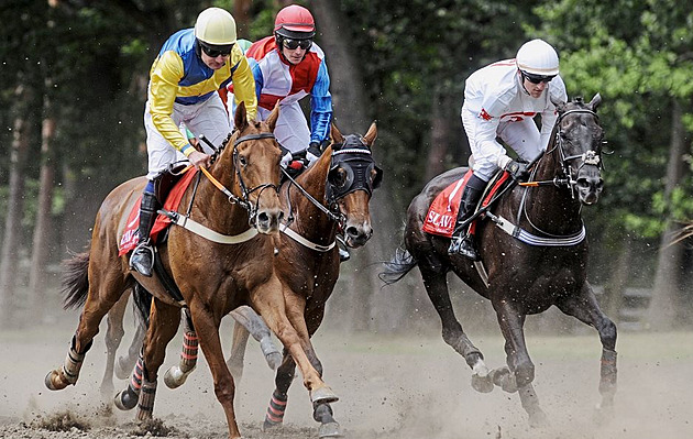Čtvrtá kvalifikace na Velkou pardubickou 2026: Program, výsledky, vstupenky